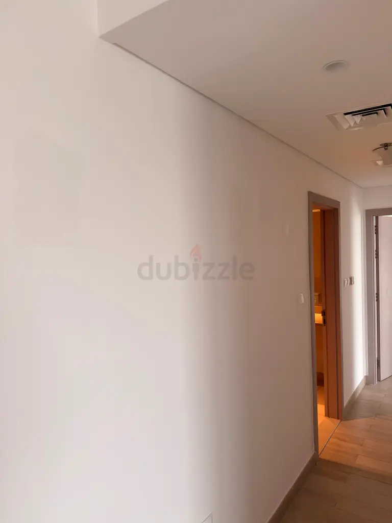 DPV_View_Image_2