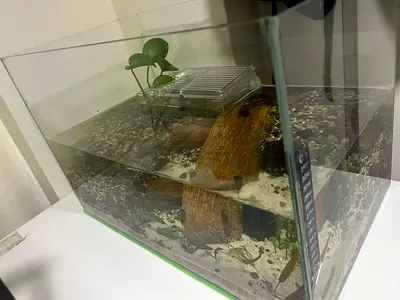 Aquarium (w/ Inclusions)