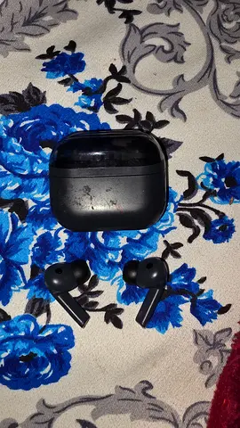 Samsung Airbuds 3fe only buds case not working