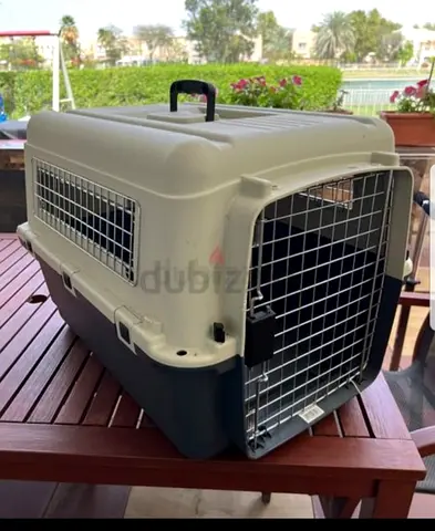 Cats and dogs carriers for air travel with metal mesh attached to the create windows