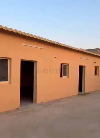 النخيل