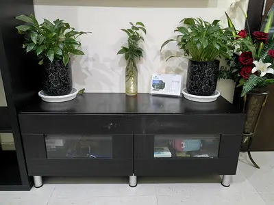 Dark Wood TV Stand / Low Cabinet with Glass Panels