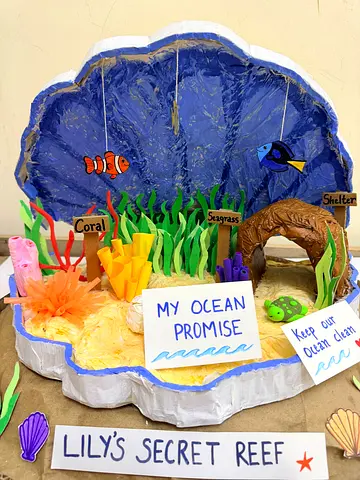 School Projects Creative Craft Work – Custom Made