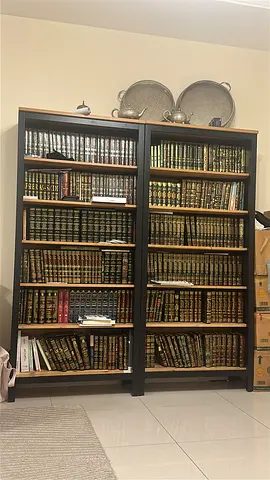 Hemnes bookcase