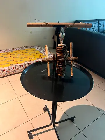 Bird stand with toys