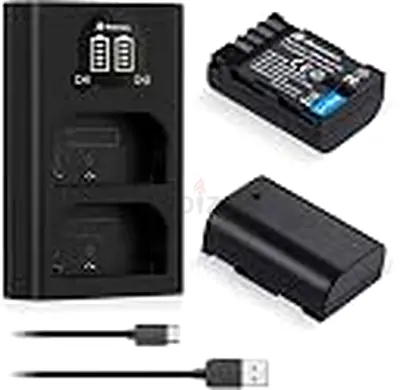 2 Pack DMW-BLF19, DMW-BLF19E, DMW-BLF19PP Batteries and Dual USB Charger
