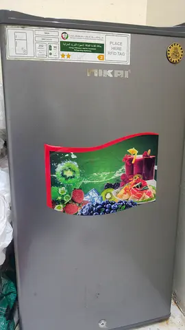 NIKAI Single-Door Upright Freezer/Refrigerator - Excellent Condition