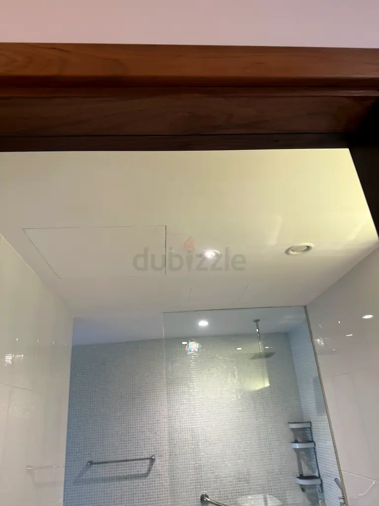 DPV_View_Image_1