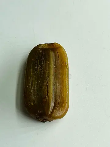 Antique carved bead / amulet piece - vintage collectible