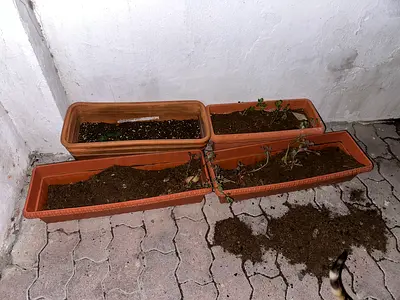 Set of 4 rectangular outdoor plastic planters - used