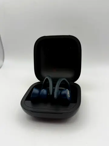 Original Beats Powerbeats Pro