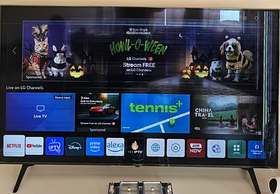 LG Smart UHD LED TV - 65-inch (Panel / Screen Damaged)
