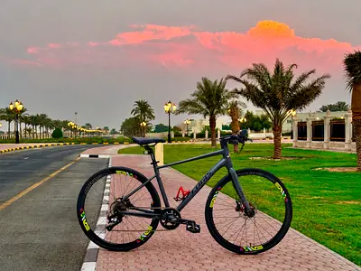 Lightweight hybrid/road bike - good condition, single-speed geared setup upgrade crankset