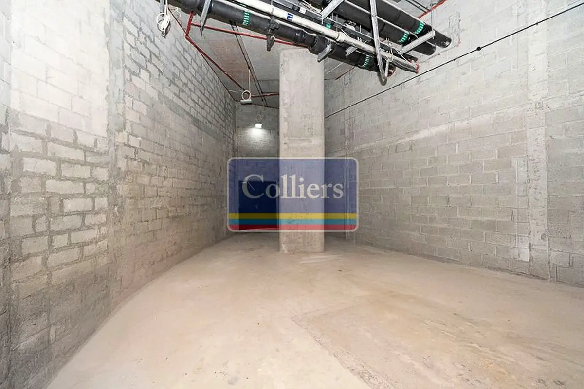 gallery-image