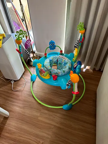 Baby Einstein Baby activity jumper in good condition (around 450dh cost on Amazon)
