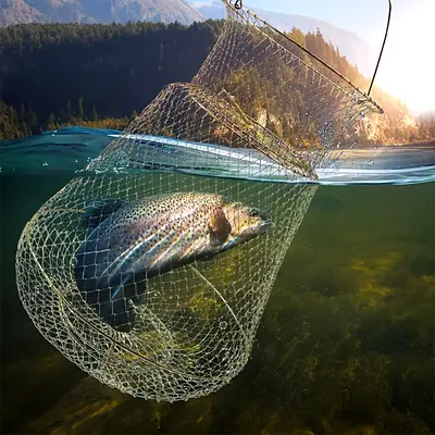 fish cage