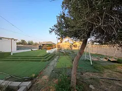 Premium Agricultural Farm for Sale in Abu Dhabi | 300,077 Sq. Ft. | Date Palms, Greenhouse & Livesto
