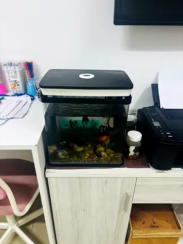 Aquarium with fish