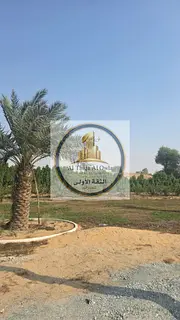 Prime Opportunity | 2 Adjacent Plots for Sale in Muhadhab, Sharjah | 3-Year Payment Plan | Freehold