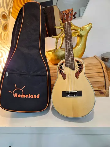 🎶 Ukulele for Sale! 🎶