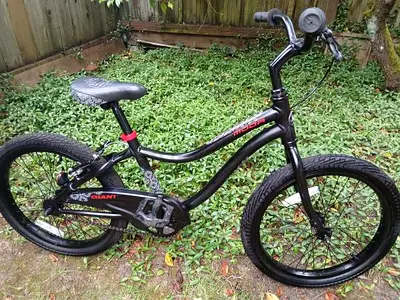 Giant Kids/Teen Cruiser Bike - 20" Wheels, Good Condition