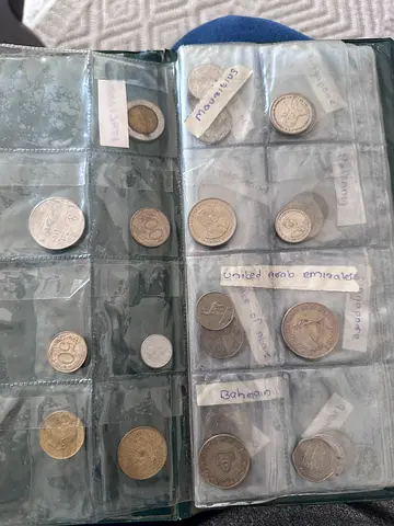 Collection of Mixed World Coins in Protective Sleeve - Various Denominations