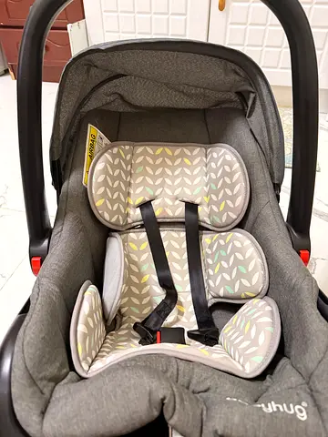 Graco Infant Car Seat with Cushioned Insert — Good Condition
