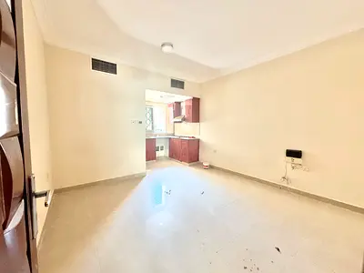 Lavish Studio Apartment For Family Central Ac Close kitchen