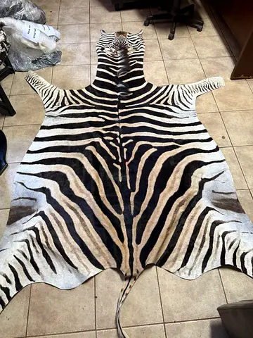 Genuine Zebra Hide Rug — Large Natural Animal Skin
