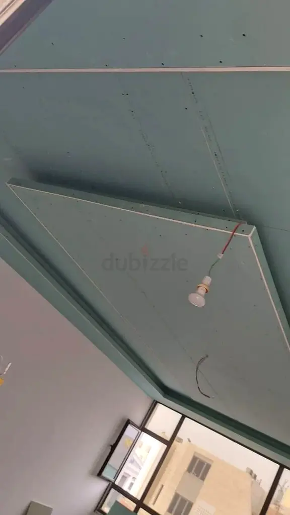DPV_View_Image_1