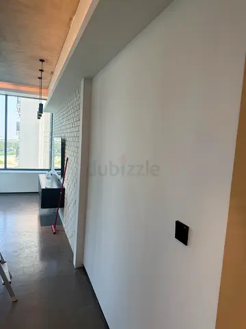 Dubai painting and cleaning servicess available