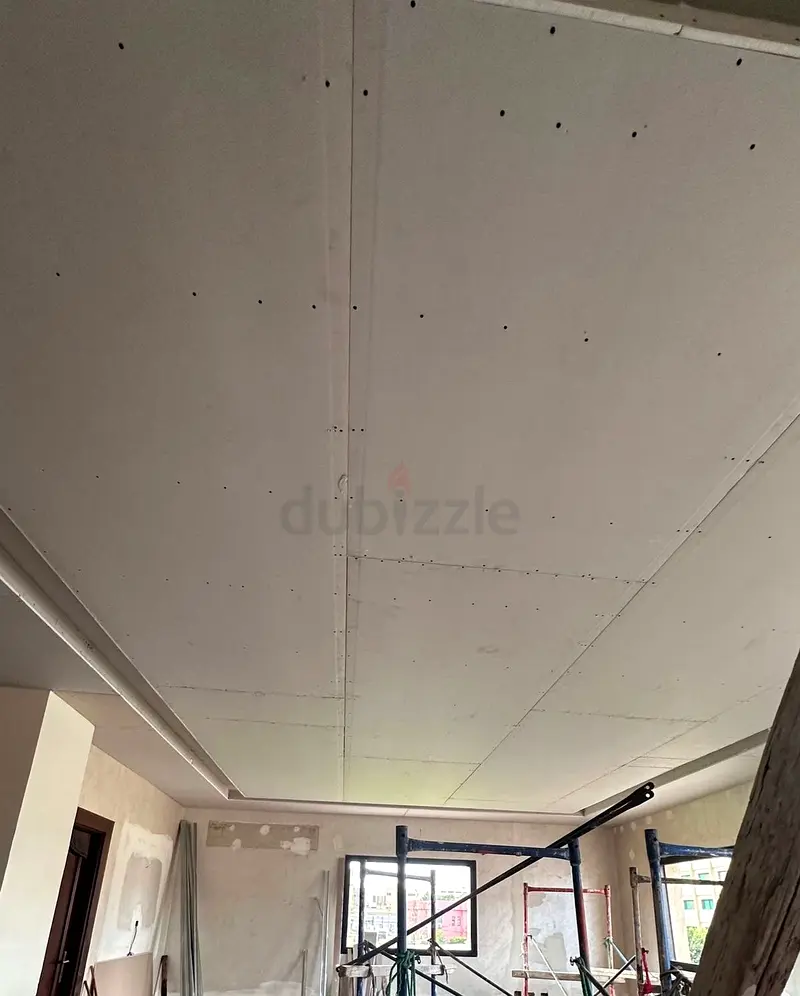 DPV_View_Image_2
