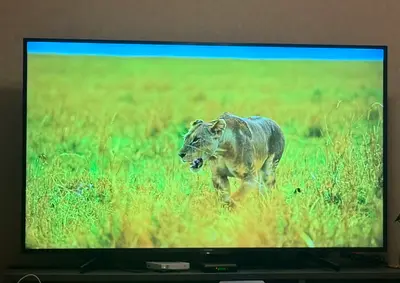 TV Sony Bravia
