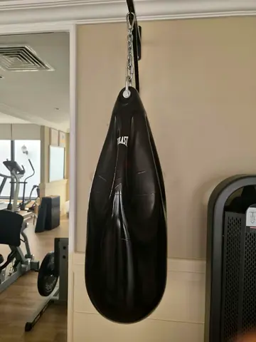 Everlast Teardrop Heavy Bag - Used, Good Condition 2 year Old