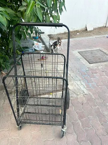 Foldable Metal Shopping Trolley/Utility Cart with Wheels