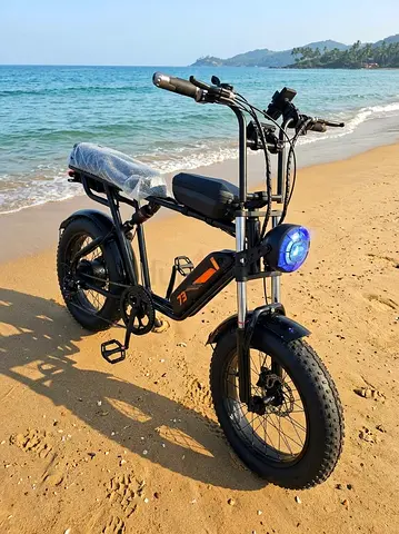 Electric fhat bike
