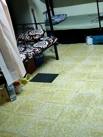 Bachelor bed space in rashidiya