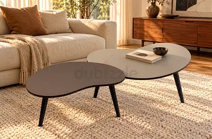 Coffe table set of 2 boenneborde