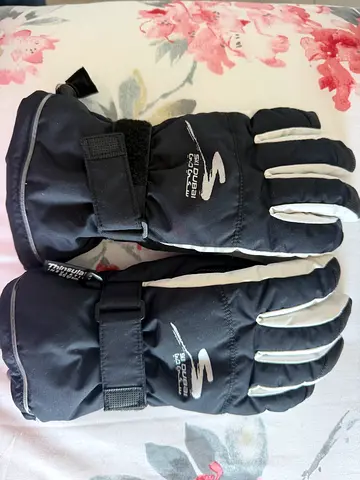Ski Gloves