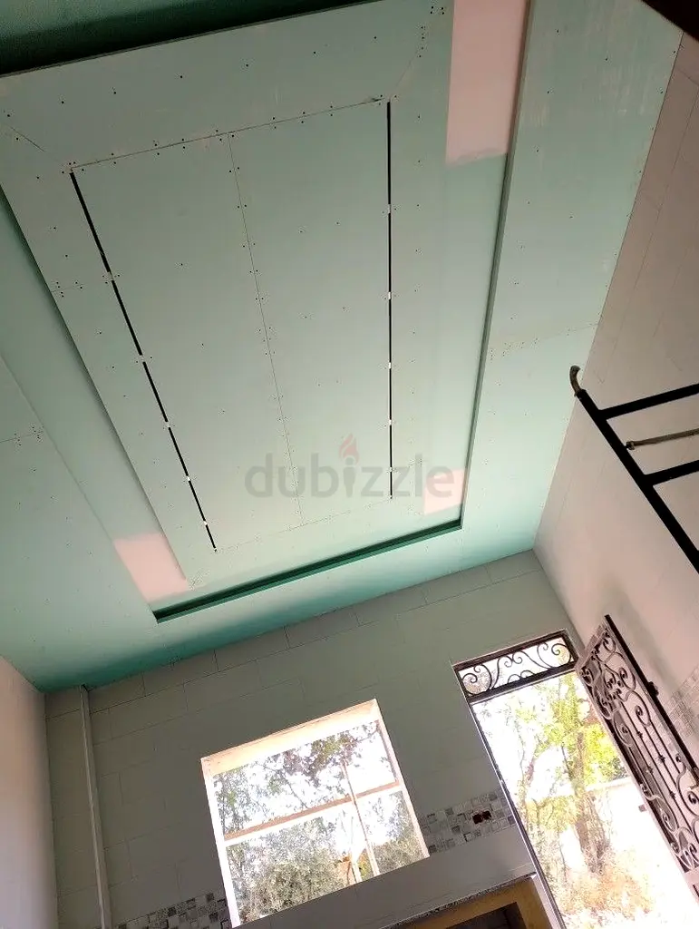 DPV_View_Image_2