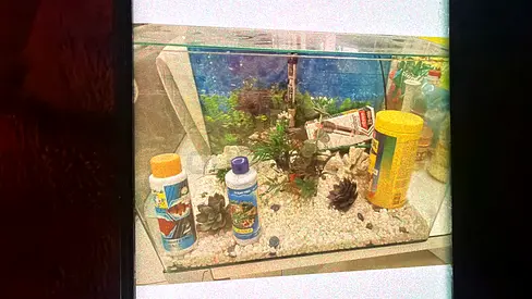 Aquarium