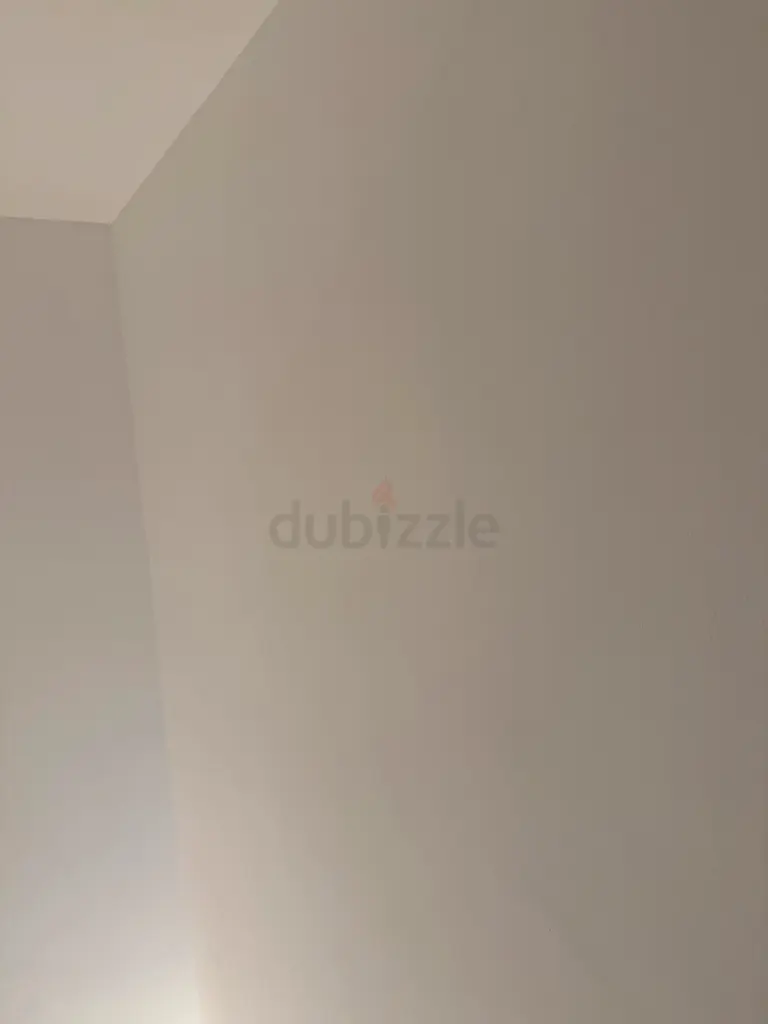 DPV_View_Image_7