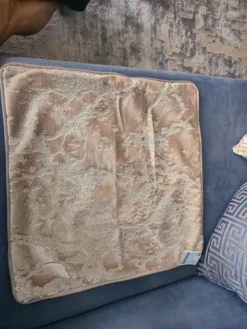 FREE CUSHION COVERS