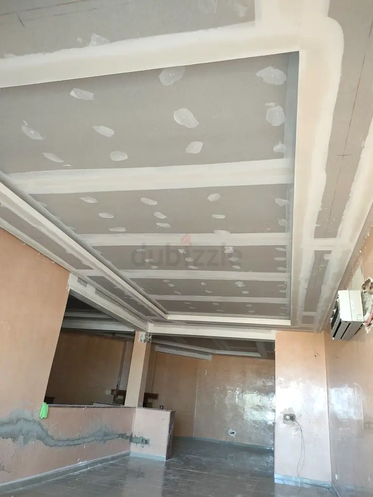 DPV_View_Image_1
