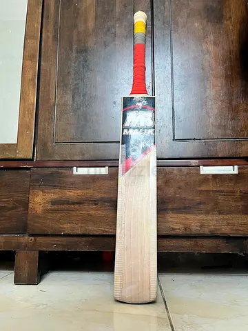 Cricket bat