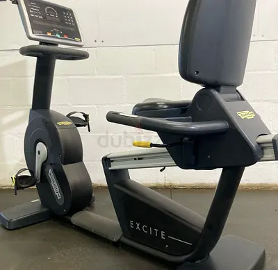 Technogym Recumbent Bike