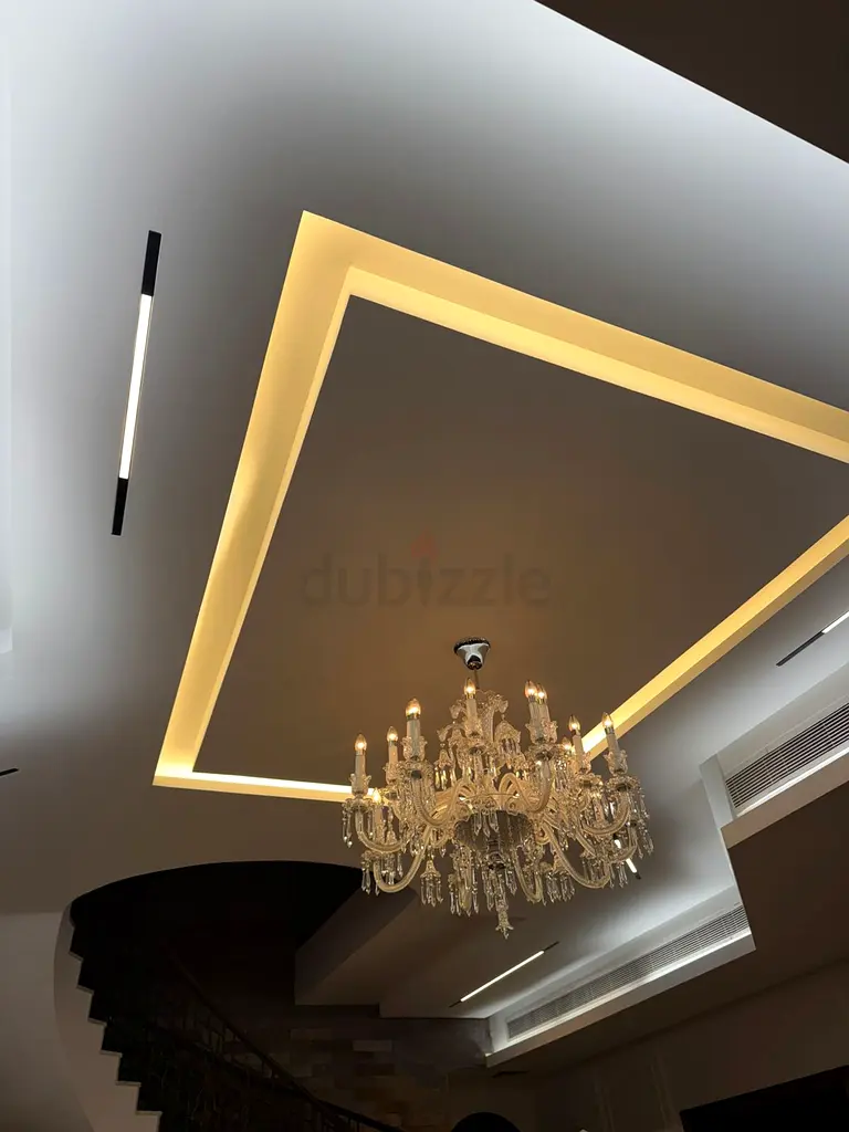 DPV_View_Image_8