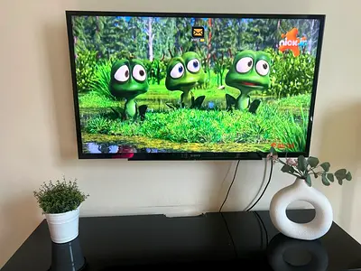 Sony Bravia LED 40” working perfectly
