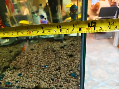 Glass aquarium tank with gravel and small fish, filter and oxygen pump