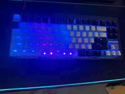 Wooting 80HE, model W08T001 Keyboard with color change custom keycaps